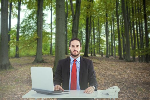 Unsmiling businessman sitting at desk  against tree trunks in the forest