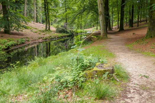 Sandy path along a pond in a wild Dutch forest