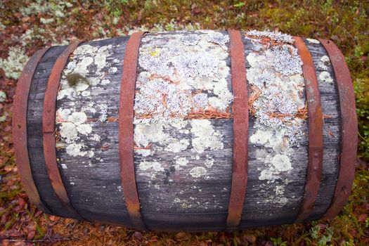 vintage barrel close up on grass background