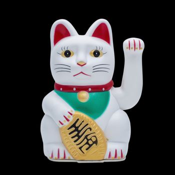 Isolated fortune or lucky cat with clipping path in jpg.
