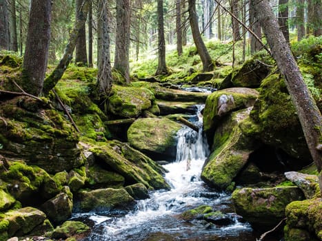Mount forest waterfall between mossy rocks, fresh green scenery