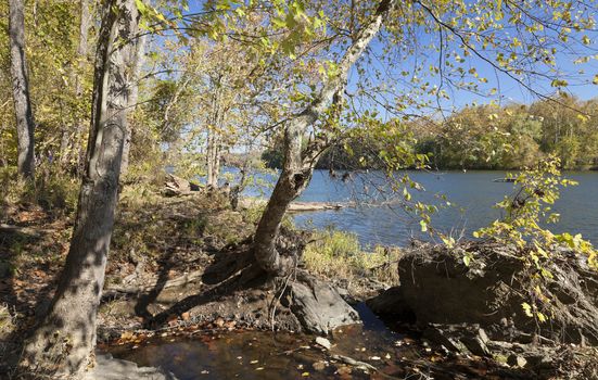 Potomac River in the Autumn - Virginia, USA