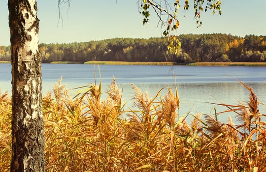 On the shore of a large lake with trees with yellow leaves. The crowns of trees reflected in the water.