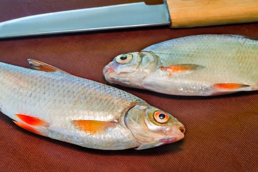 On the surface of the kitchen table is a fresh fish and a kitchen knife to clean it.