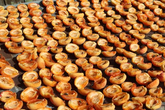 Drying apricots in direct sunlight in a rural environment.