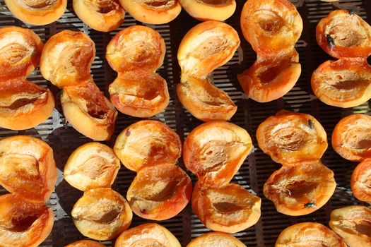 Drying apricots in direct sunlight in a rural environment.