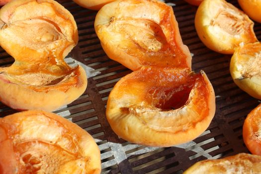 Drying apricots in direct sunlight in a rural environment.