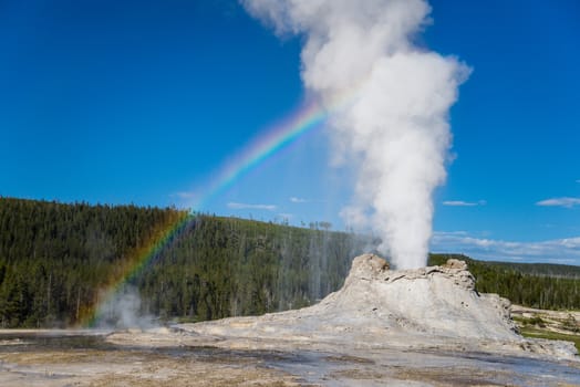 Castle Geyser casting a Rainbow in Yellowstone