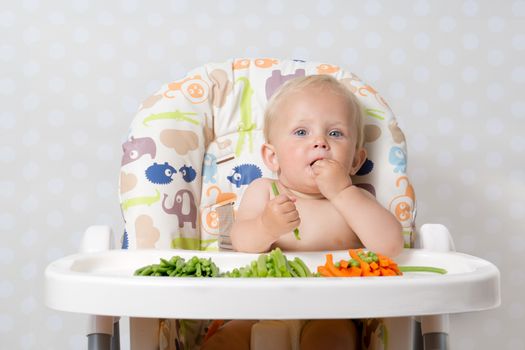 Baby girl sitting in a highchair eating raw, seasonal vegetables: carrots, beans, peas, celery