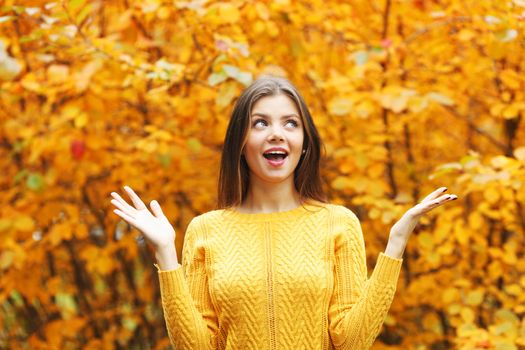 Portrait of a beautiful young woman over autumn tree background