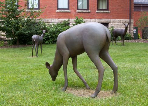 AUGUST 6, 2015: Deer statues on the lawns of of Iowa State University.