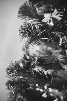 close up christmas ball on tree black and white color tone style