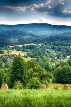 Bucovina, mountain landscape