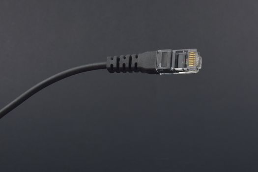 patchcord. internet cable. RJ45
