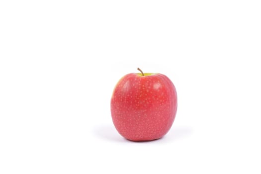 apples on a white background