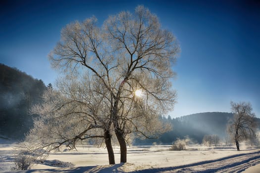 winter mountain landscape