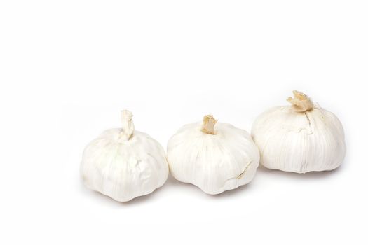 garlic on a white background