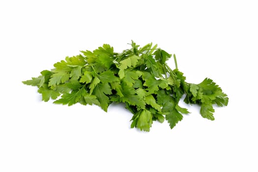 vegetables on a white background