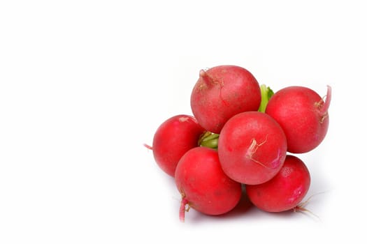 vegetables on a white background