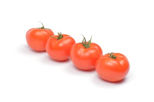 Tomatoes on white background