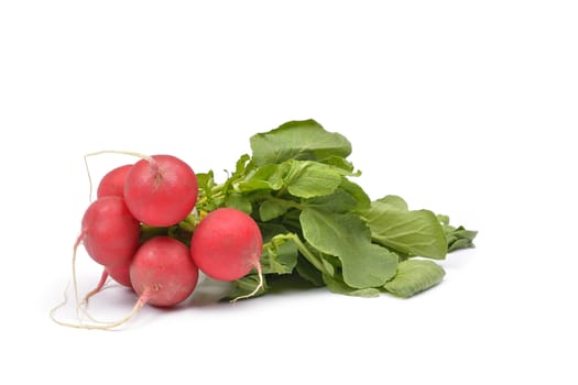 vegetables on a white background