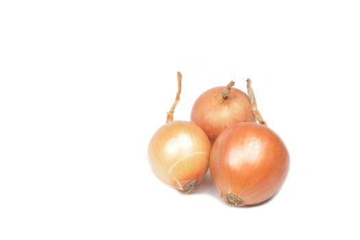 Fresh onion bulbs on white background