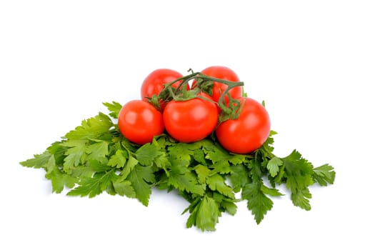 vegetables on a white background