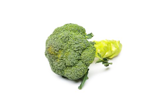 brocoli on a white background