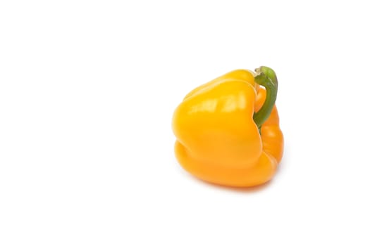capsicum on a white background