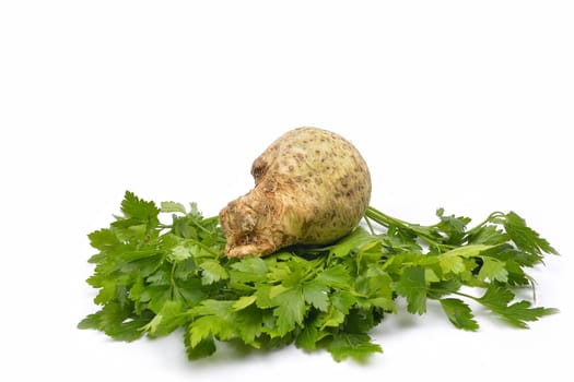 vegetables on a white background