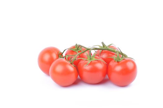 tomatoes on white background