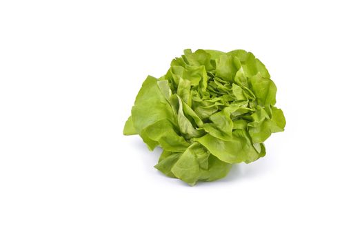 lettuce isolated on white background with shadow