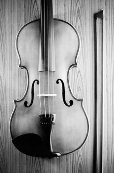 violin on wood background black and white color tone style