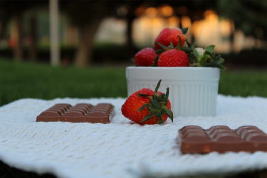 picnicking with strawberry and chocolate. yum yummy!