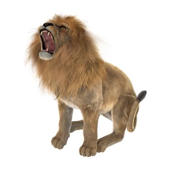 3D digital render of a male lion isolated on white background
