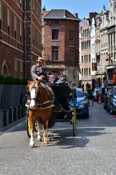 Brussels, Belgium - May 12, 2015: Driver in traditional horse carriage around the city of Brussels. Brussels is the capital and largest city of Belgium.