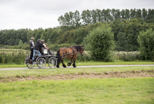 ROCAKNJE, NETHERLANDS - AUGUST 18, 2015: Unknown people participate in the power horse competition in Rockanje on August 18 2015. This competition is for international points