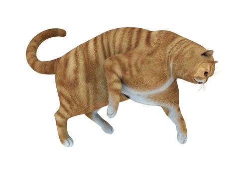 3D digital render of a big red cat playing hunting on white background