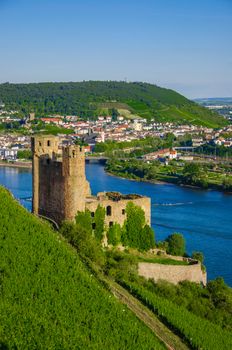 Ehrenfels Castle, Burg Ehrenfels on Rhine river near Ruedesheim and Bingen am Rhein, Hessen, Germany