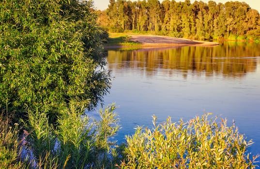 The landscape is quiet calm of the river, which reflects the bushes and trees growing along its banks.