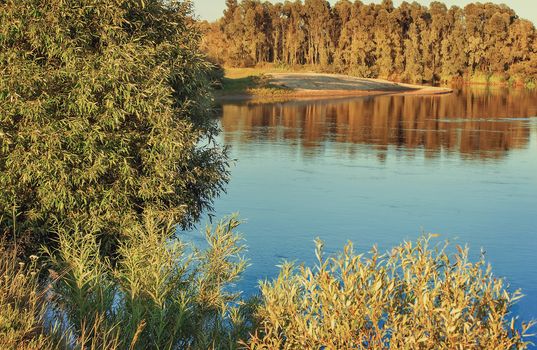 The landscape is quiet calm of the river, which reflects the bushes and trees growing along its banks.