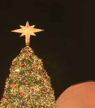 Star decorations on the Christmas list.