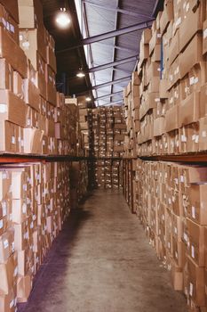 Rows of shelves with boxes in warehouse