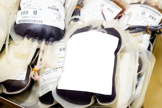 Close up bag of blood and plasma and rubber tube isolated on Red background