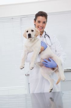 Smiling veterinarian with a cute dog in her arms in medical office