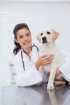 Smiling veterinarian examining a cute dog in medical office