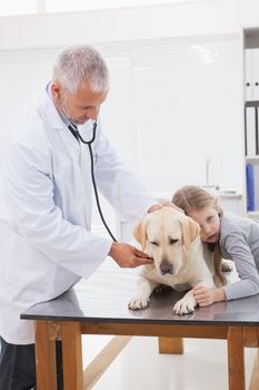 Vet examining a dog with its uneasy owner in medical office