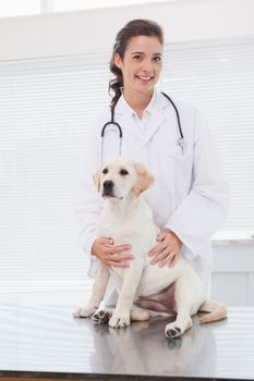 Smiling veterinarian examining a cute dog in medical office