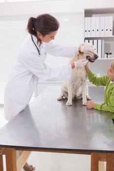 Vet examining a dog with its owner in medical office