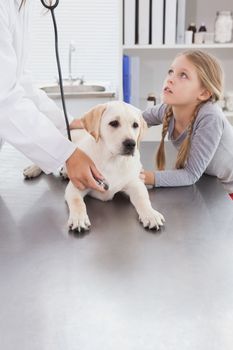 Vet examining a dog with stethoscope with its owner 